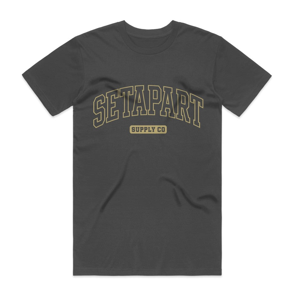 Set Apart Arched logo - Gray or Black Heavyweight Tee
